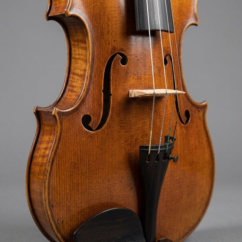 Violini Clan della Musica