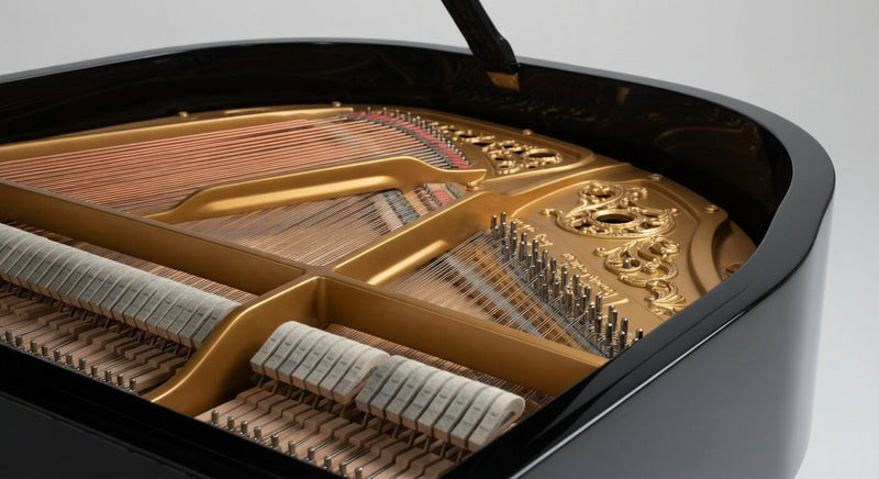 Pianoforti-Da-Palco Clan della Musica