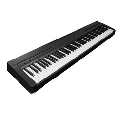 Yamaha P45
