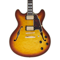 D'Angelico Excel DC XT Iced Tea Burst