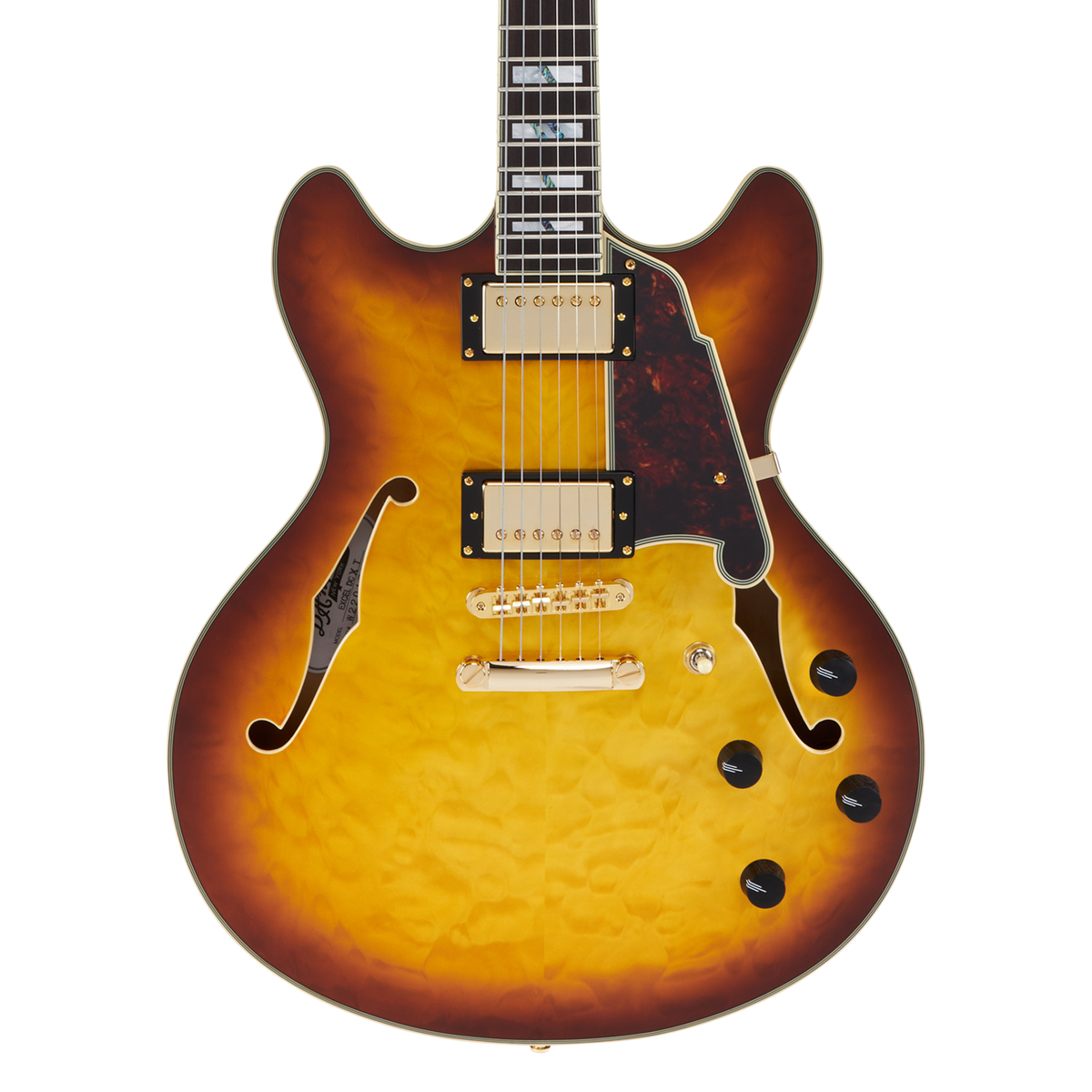 D'Angelico Excel DC XT Iced Tea Burst